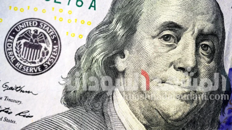 dolla.webp.webp.webp