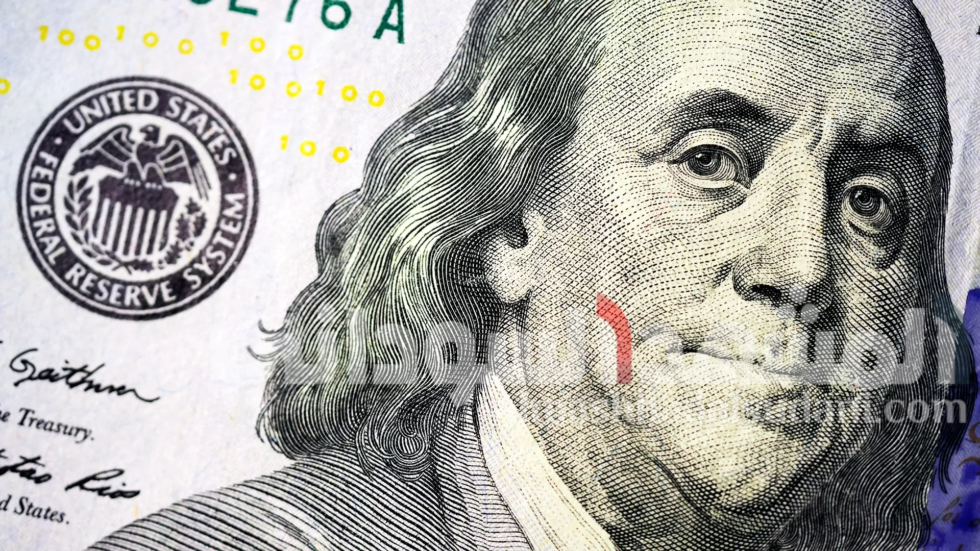 dolla.webp.webp.webp